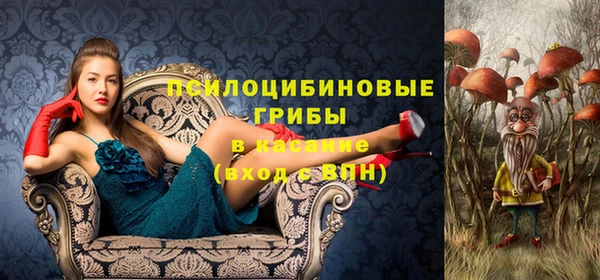 spice Покров