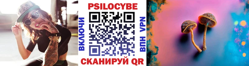 Псилоцибиновые грибы Psilocybine cubensis  Арамиль 